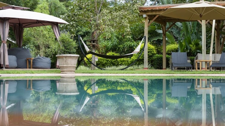 Perry’s Bridge Hollow  